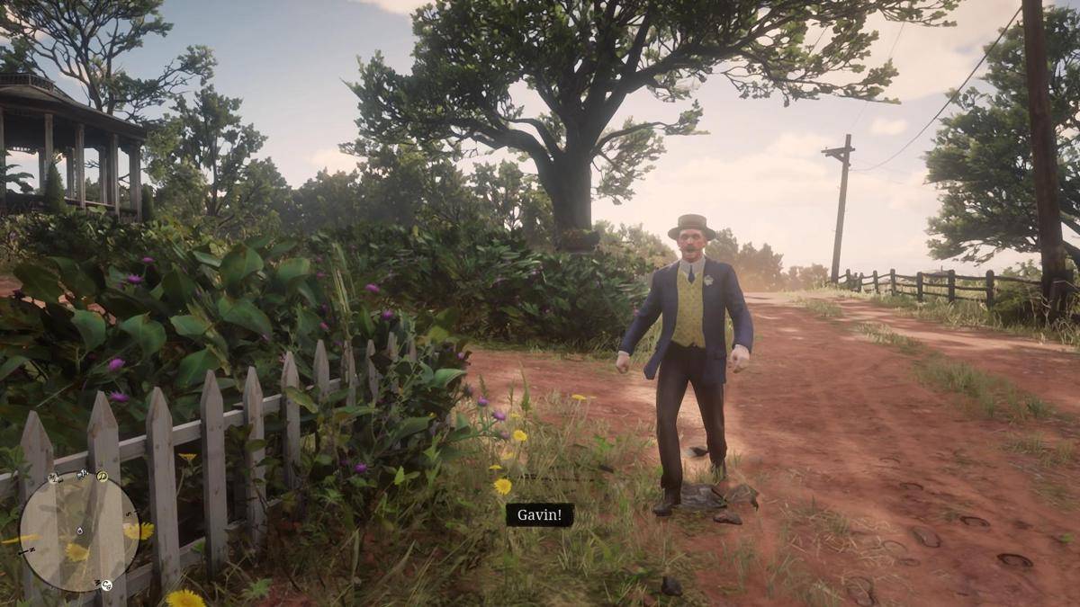 cuplikan Red Dead Redemption 2