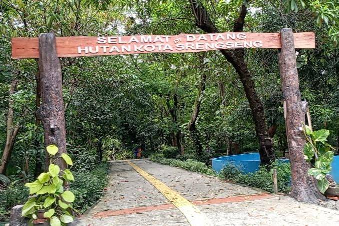 potret Hutan Kota Srengseng (commons.wikimedia.org/SBudiMasdar)