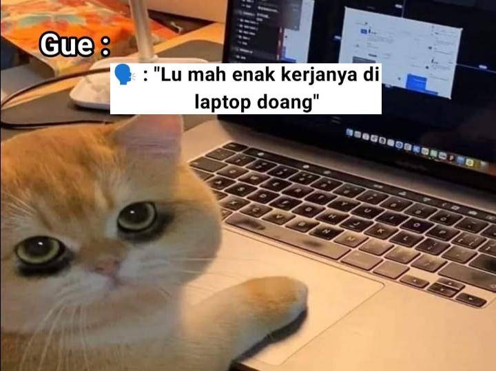 meme adu nasib