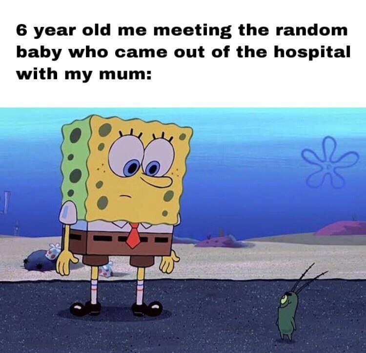 meme SpongeBob tentang saudara 