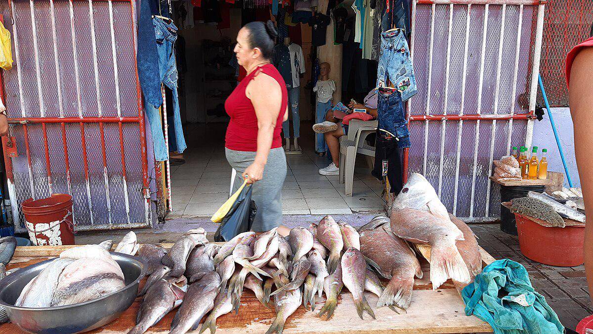 potret pasar ikan di Bluefields (commons.wikimedia.org/Ridiculopathy)