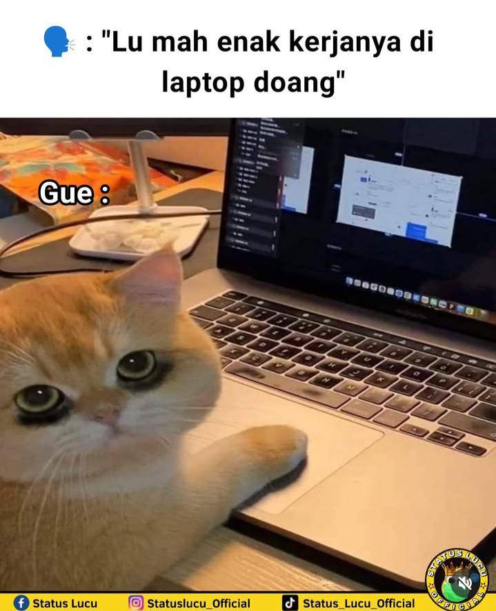meme adu nasib