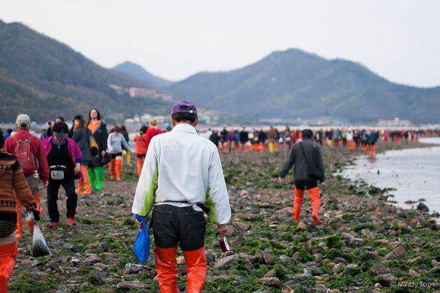 Ilustrasi momen air laut terbelah di Pulau Jindo, Korea Selatan. (Pinterest/Flickr/minnieminnmin)