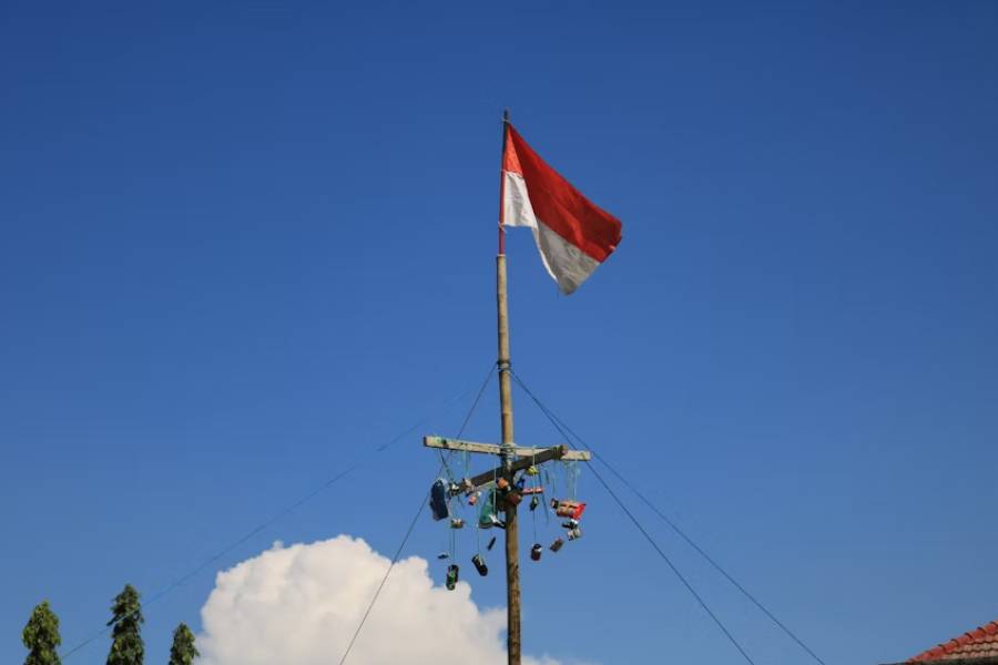 Potret lomba panjat pinang 17-an