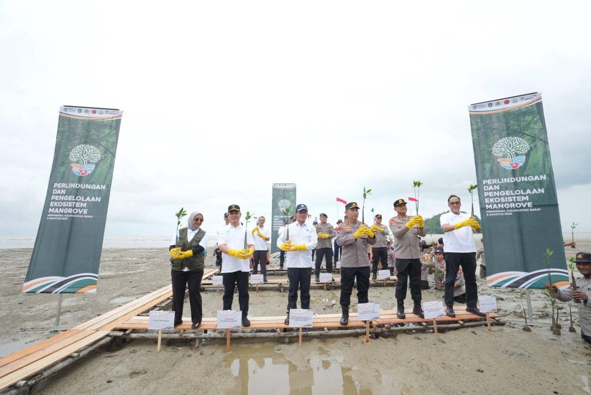 Menteri LH dan Kapolri tanam mangrove di Mempawah.