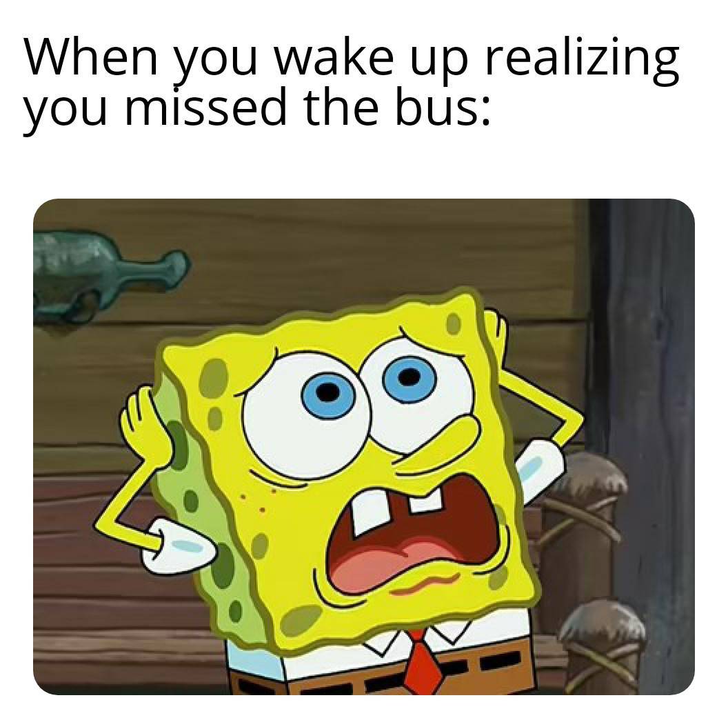 meme SpongeBob tentang bus