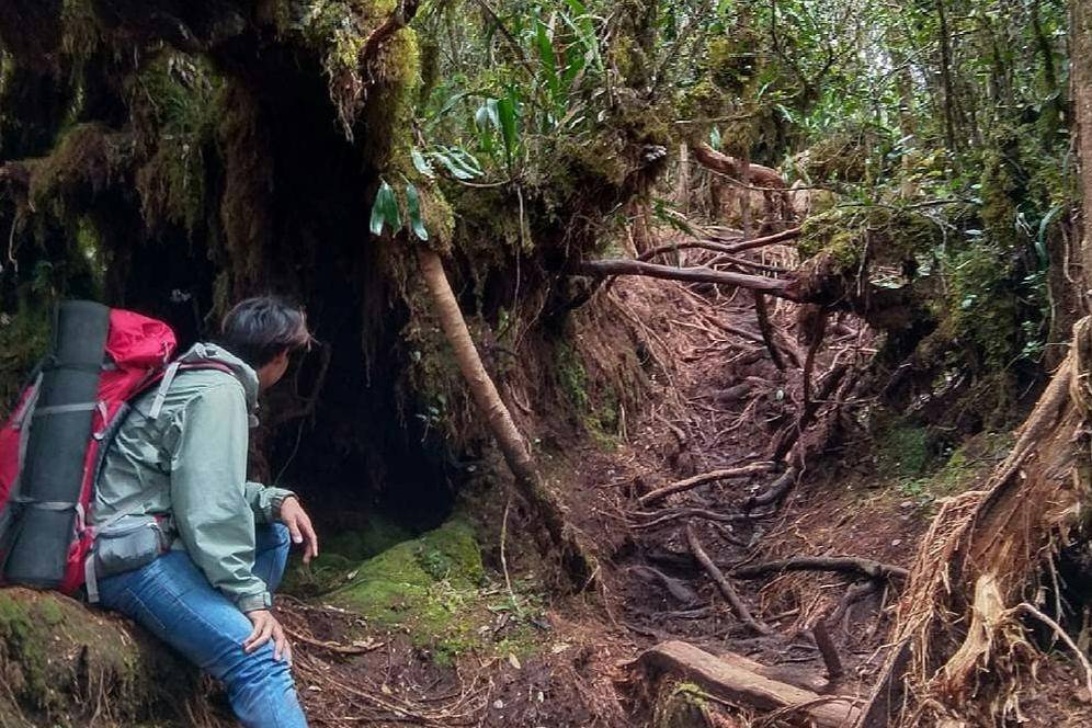 Medan yang harus dilalui ketika melakukan pendakian Gunung Sibuatan (instagram.com/lingkarsumut)