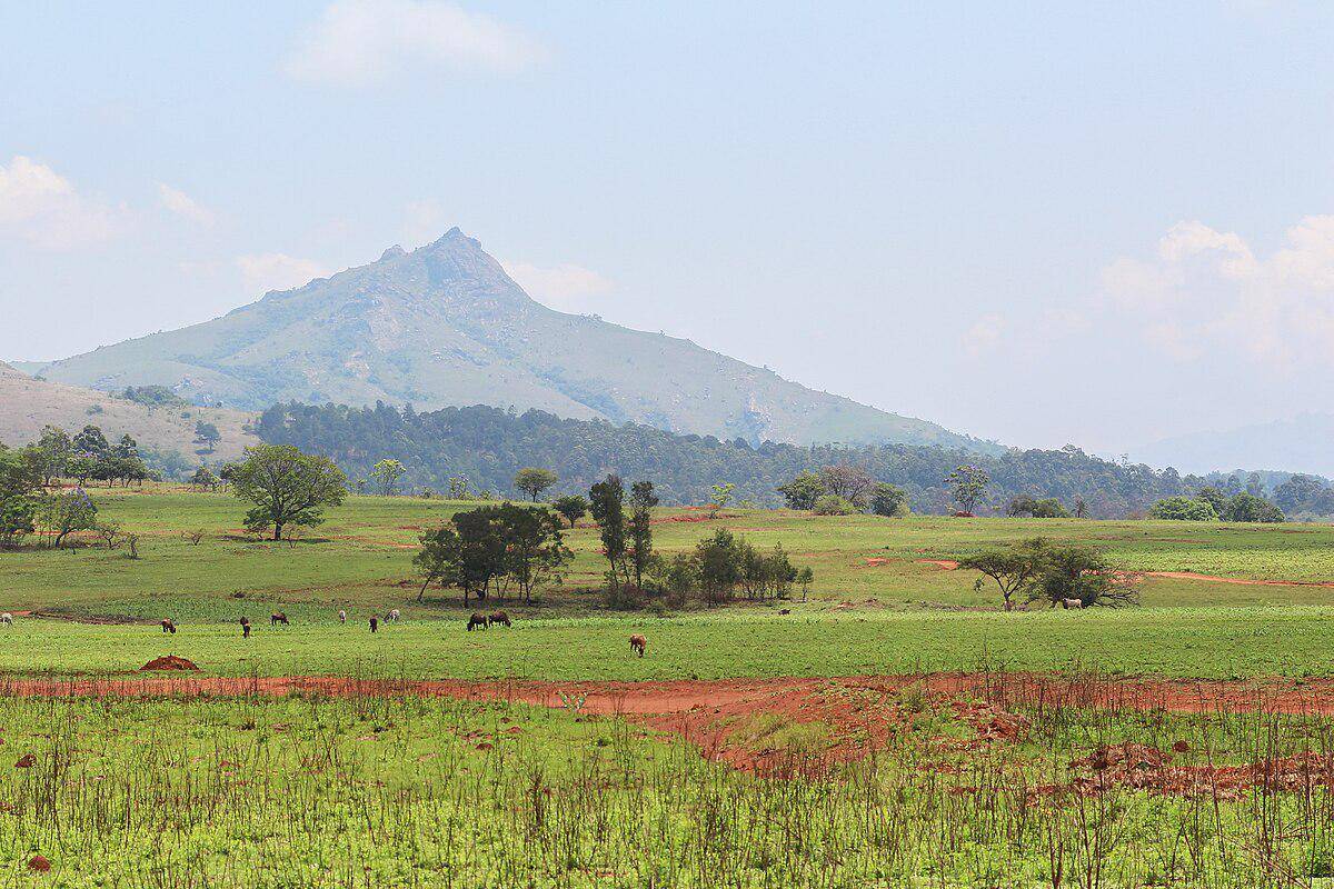 potret Suaka Margasatwa Mlilwane, kawasan lindung tertua di Eswatini (commons.wikimedia.org/Bernard Gagnon)