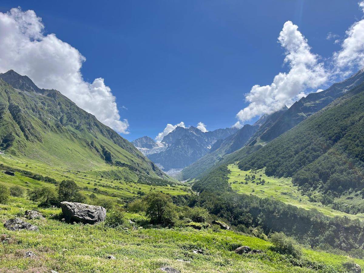 Valley of Flowers