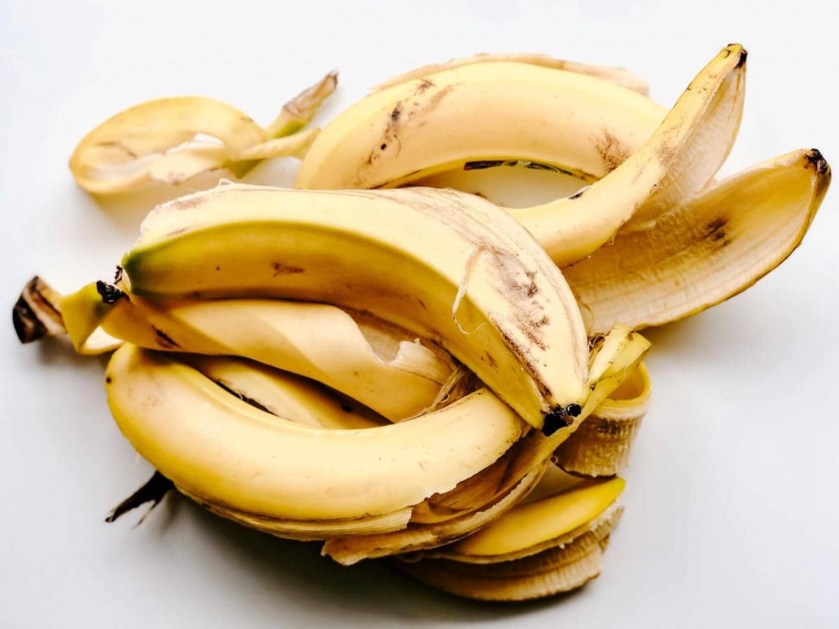 ilustrasi kulit pisang