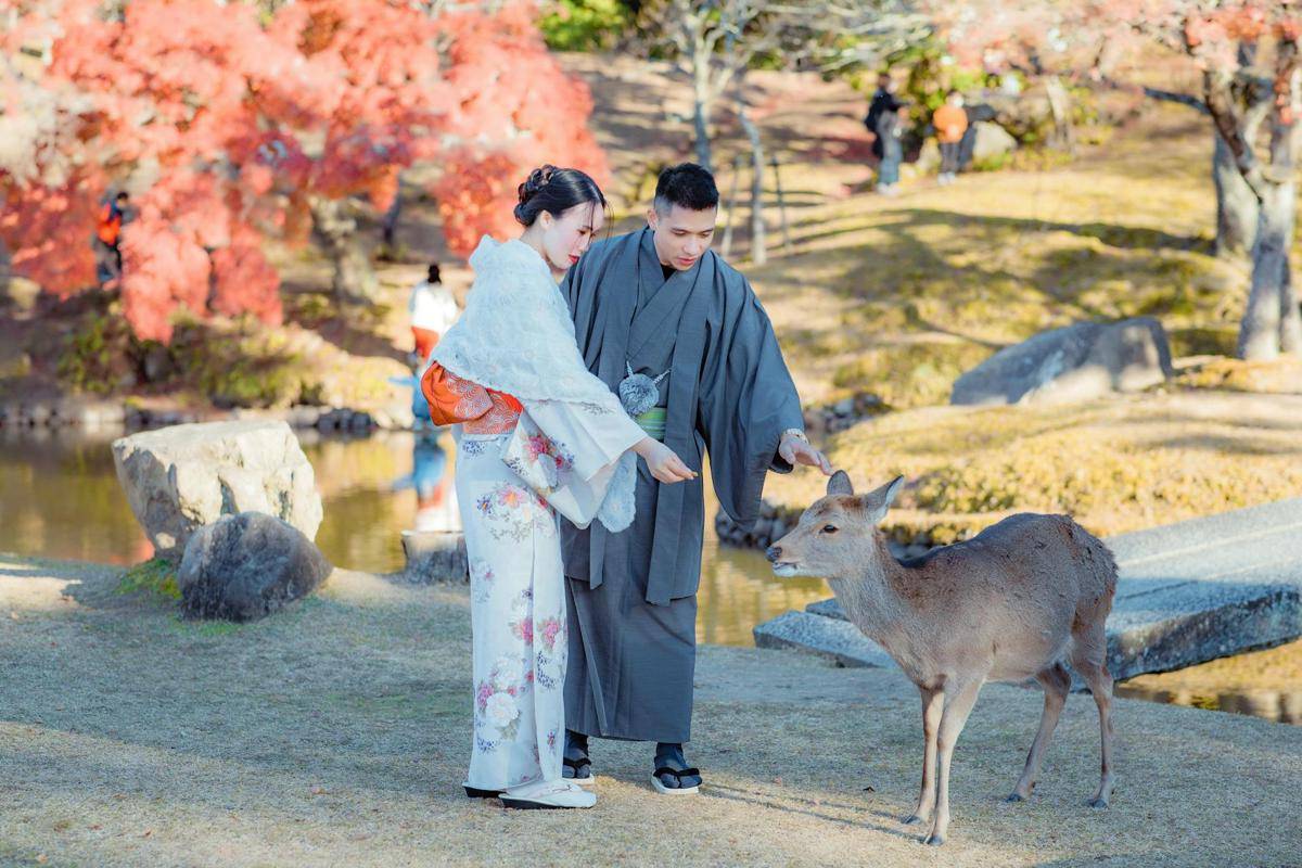 ilustrasi aktivitas di Nara Park