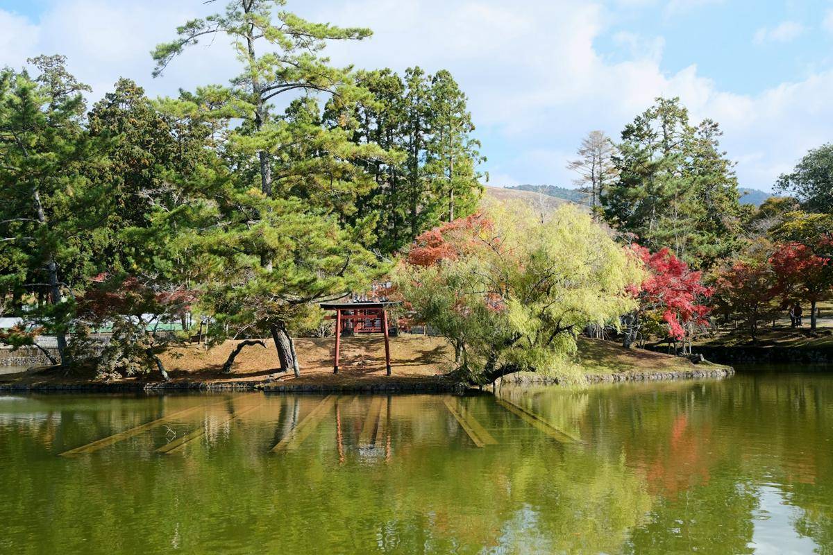 Nara Park 