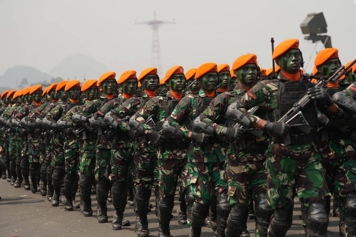 ilustrasi TNI