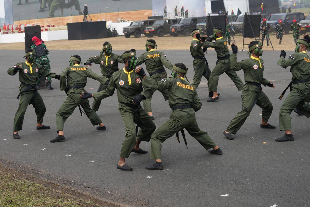 ilustrasi TNI