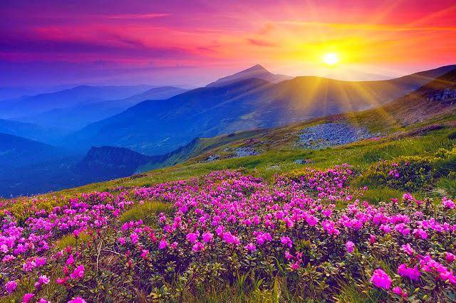 Valley of Flowers