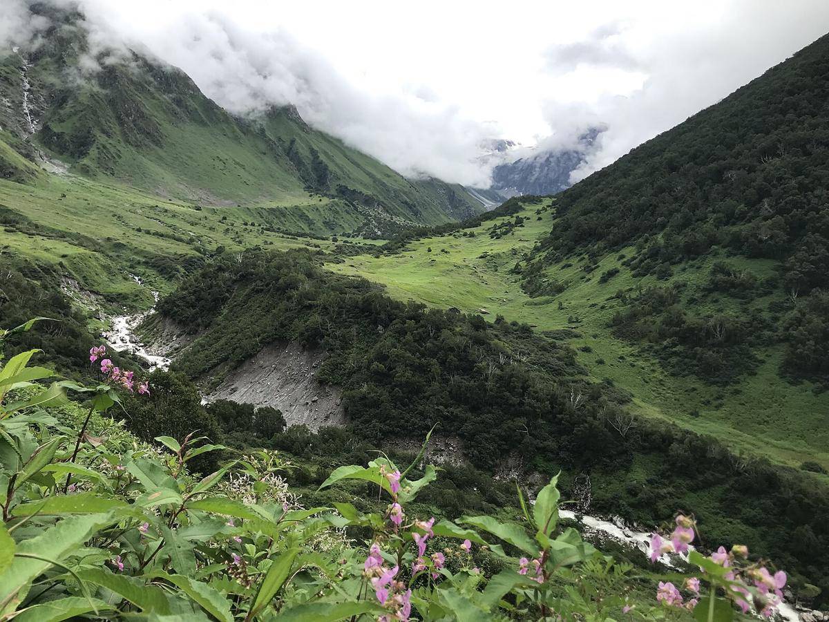 Valley of Flowers