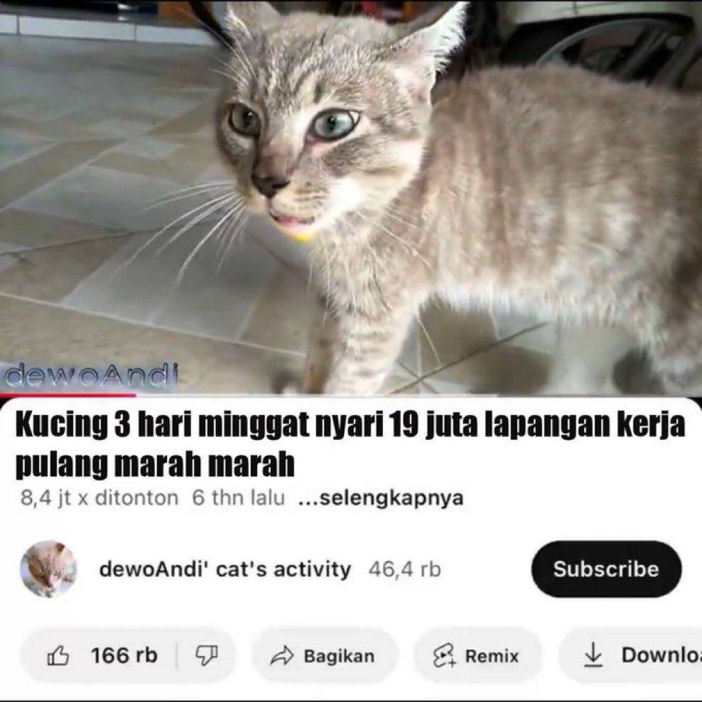 meme keluh kesah rakyat kecil