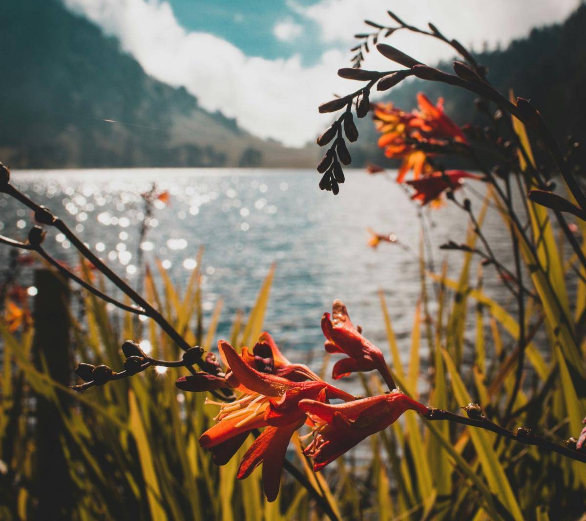 Ranu Kumbolo (unsplash.com/Bisma Mahendra)