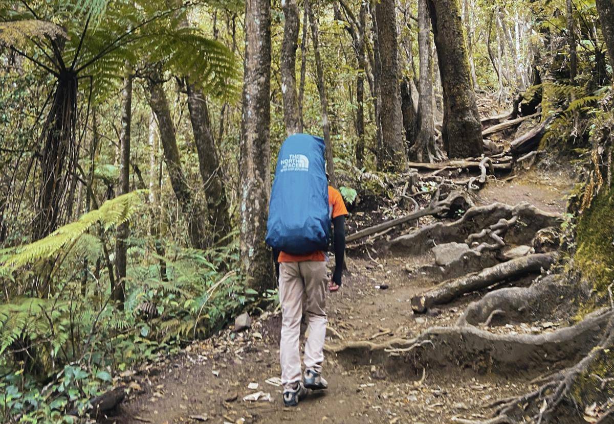 ilustrasi pendaki di jalur pendakian gunung (unsplash.com/Alvian Hasby)