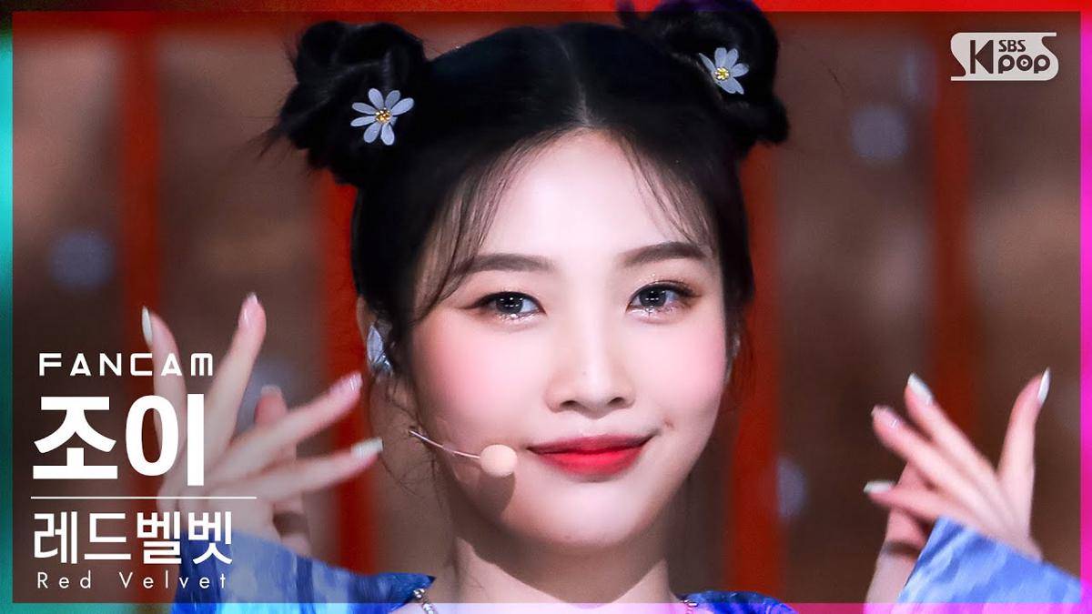 Joy Red Velvet (youtube.com/SBSKPOP X INKIGAYO)