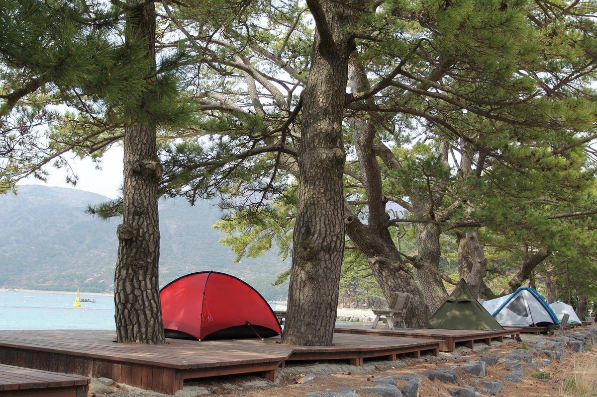 Ilustrasi camping di pantai (Pixabay/nzzang)