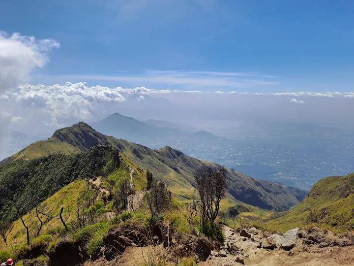 potret Gunung Merbabu
