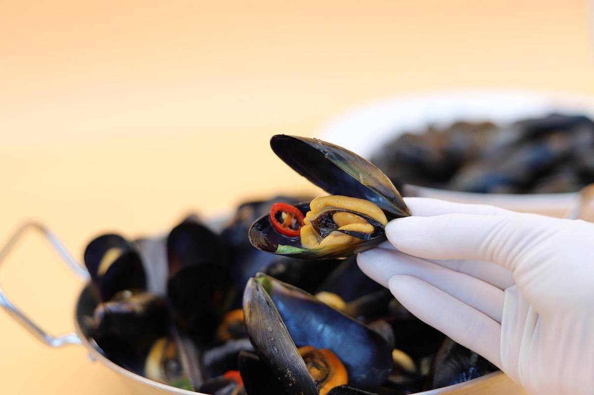 ilustrasi memegang kerang 