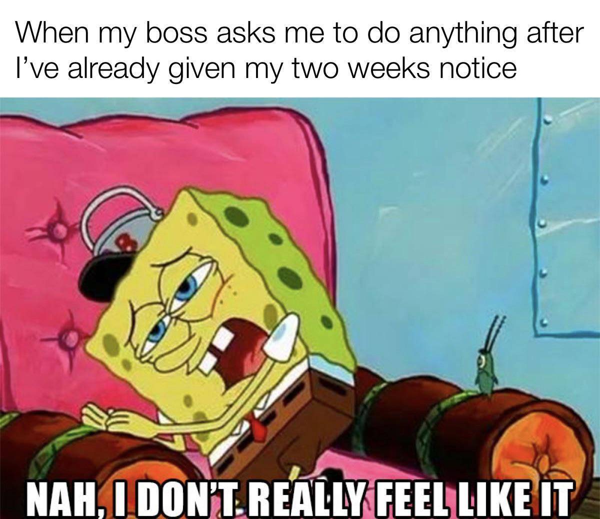 meme SpongeBob tentang bos