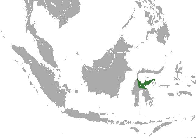 ilustrasi peta persebaran tarsius dian (commons.wikimedia.org/Chermundy)