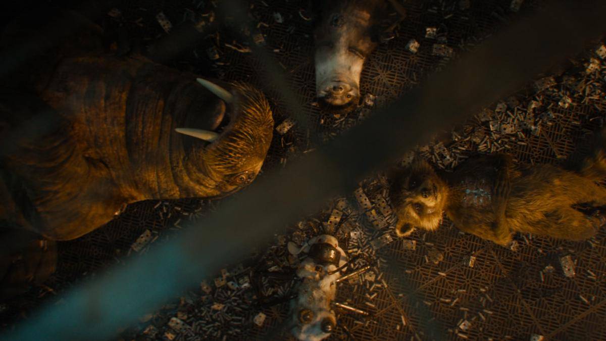 cuplikan film Guardians of the Galaxy vol. 3