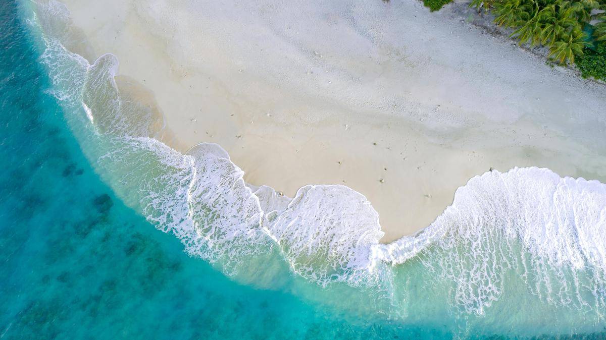 ilustrasi pantai/pexels.com