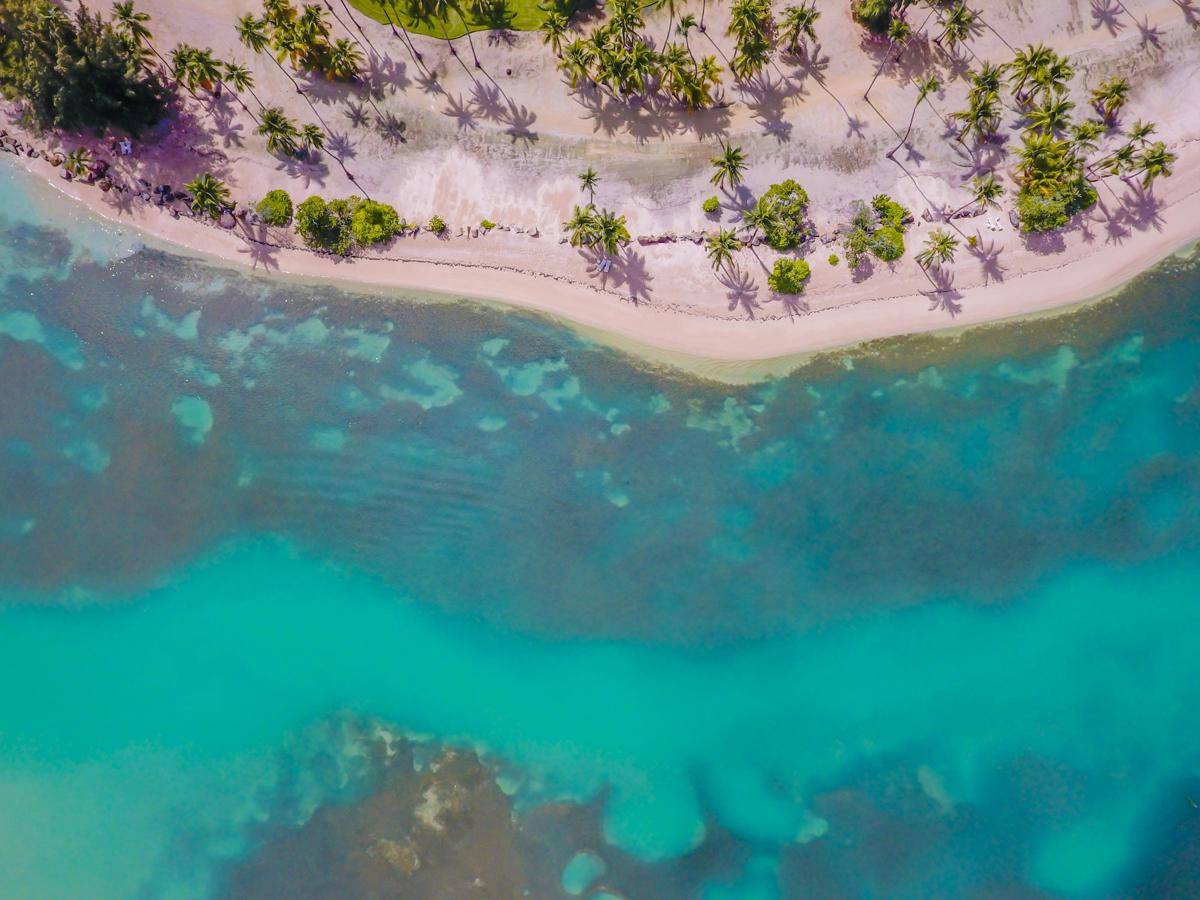 ilustrasi pantai/pexels.com