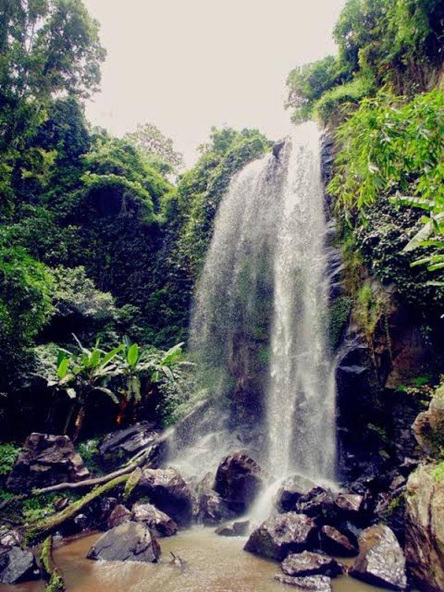 Air Terjun Pulo Agung wisata di Bondowoso