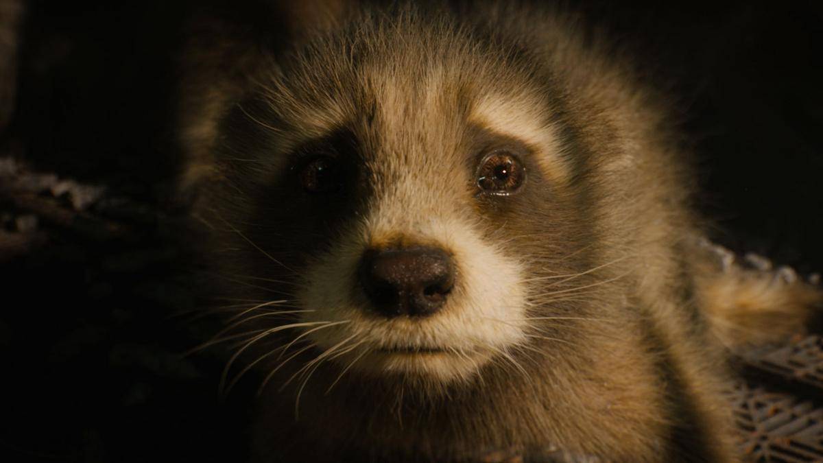 cuplikan film Guardians of the Galaxy Vol. 3