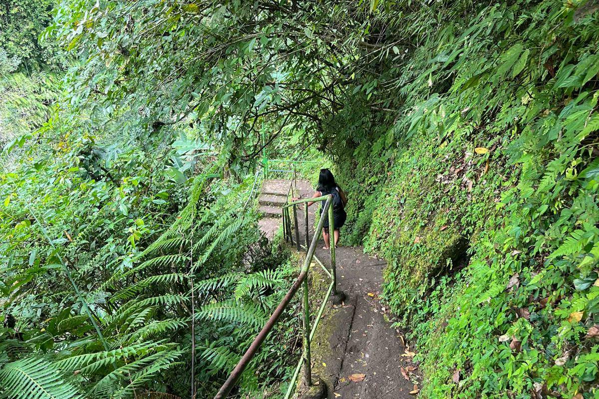 jalan setapak dan tangga menuju air terjun (dok.pribadi/Natalia Indah)
