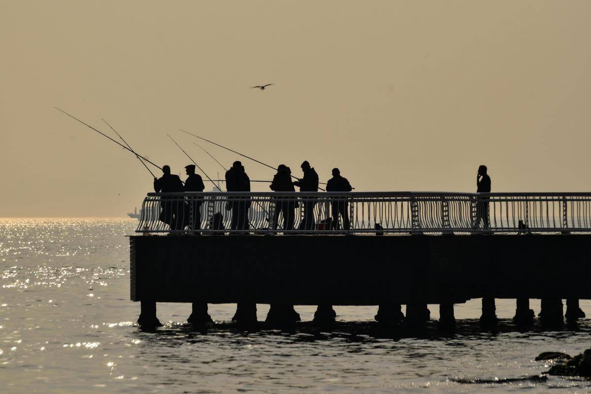 ilustrasi memancing/pexels.com