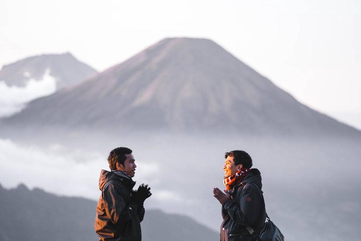 ilustrasi jaket gorpcore