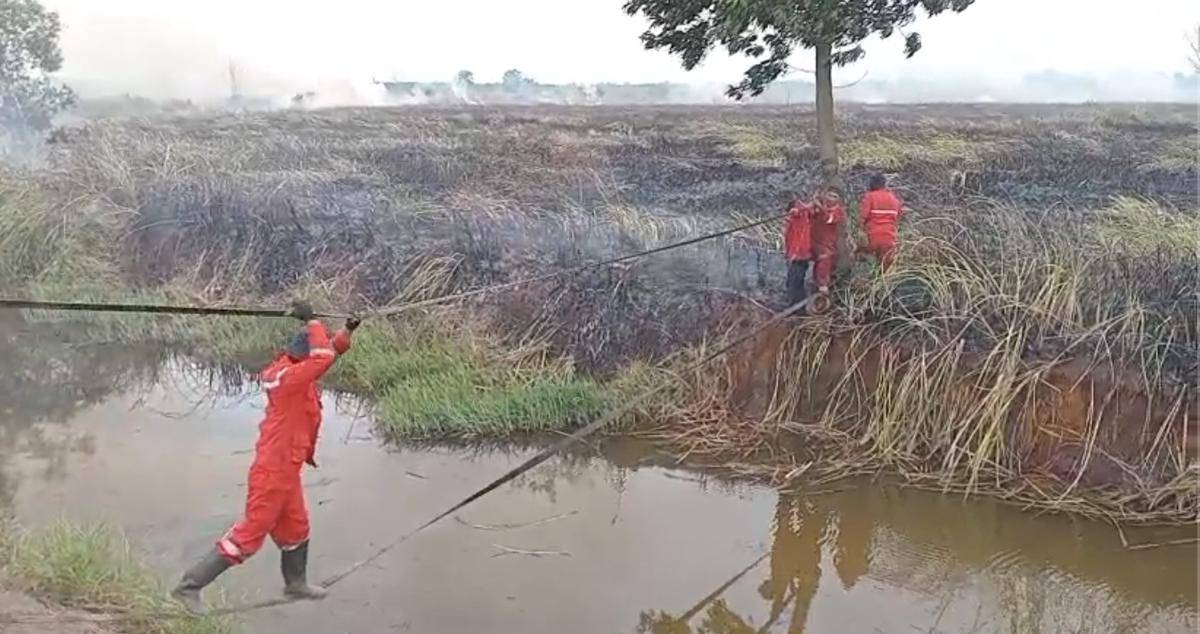 Proses pemadaman karhutla di wilayah Pemulutan Ogan Ilir, Sumsel (Dok: Manggala Agni)