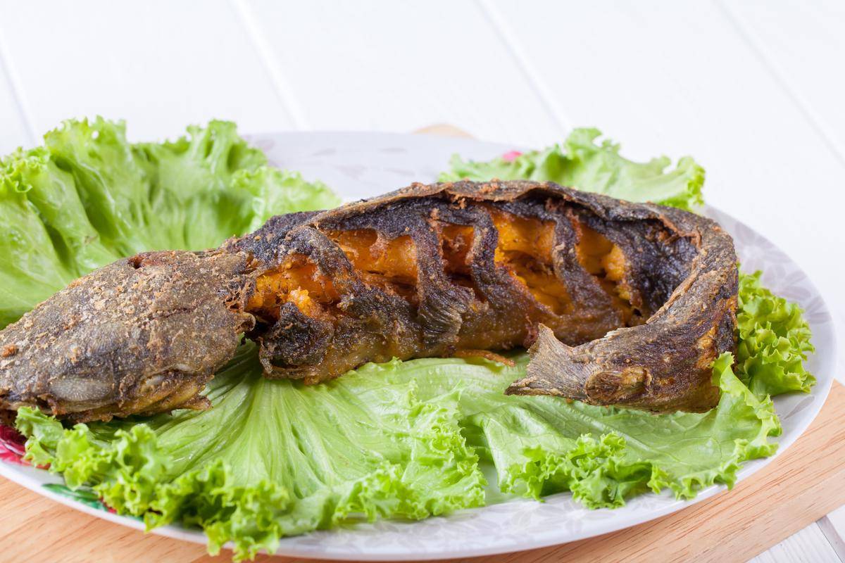 Potret lele goreng