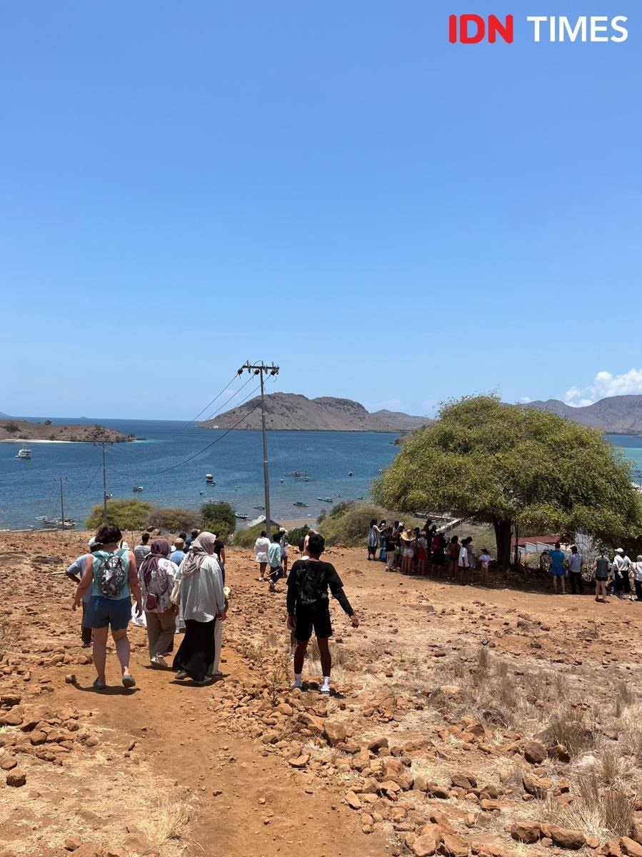 Potret Pulau Komodo, Flores, NTT 