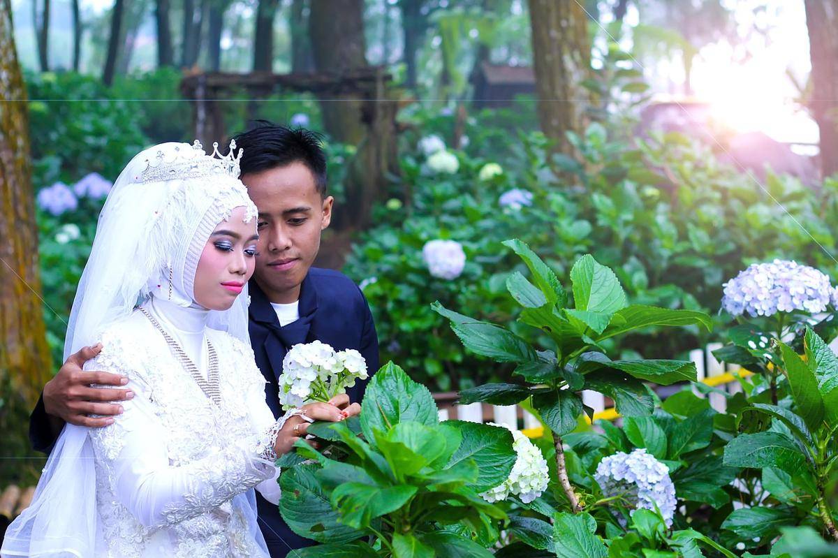 Ilustrasi prewedding (Pixabay/Kifli Andrian)