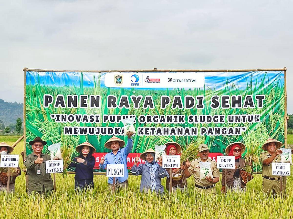Panen raya padi sehat. (Dok. Istimewa)