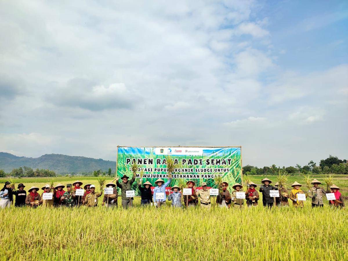 Panen raya padi sehat. (Dok. Istimewa)