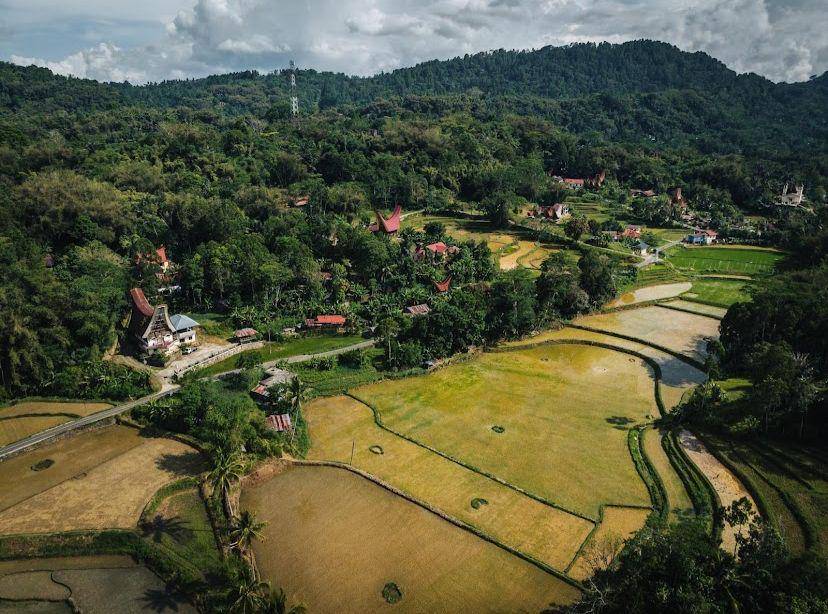 Bukit Ollon Toraja (google.com/maps/Hammad Ul Hassan)
