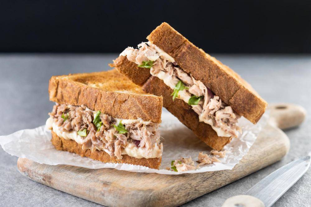 ilustrasi tuna melt sandwich panggang