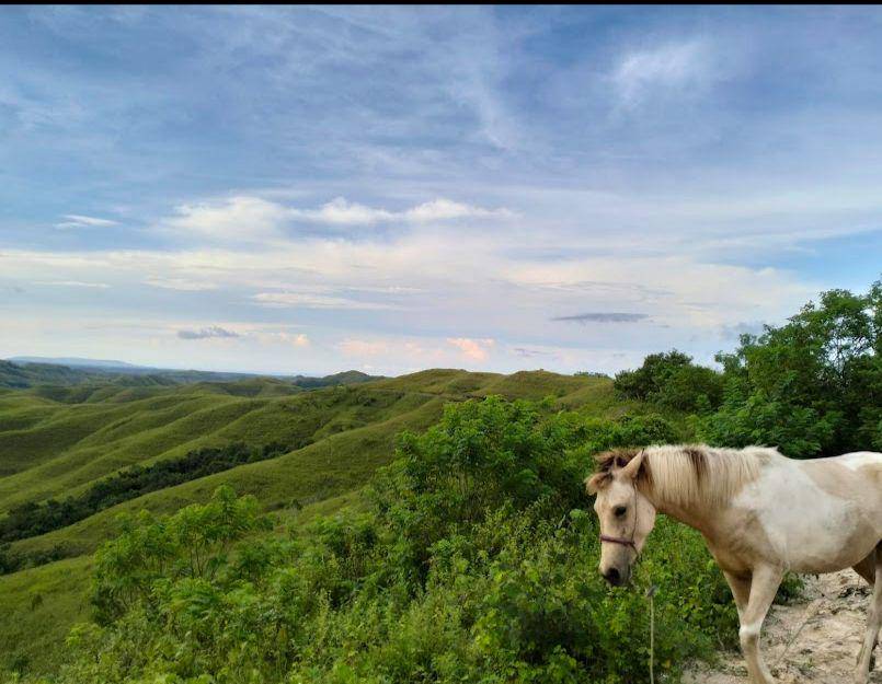 Bukit Wairinding (google.com/maps/Sarah Adhiyati)
