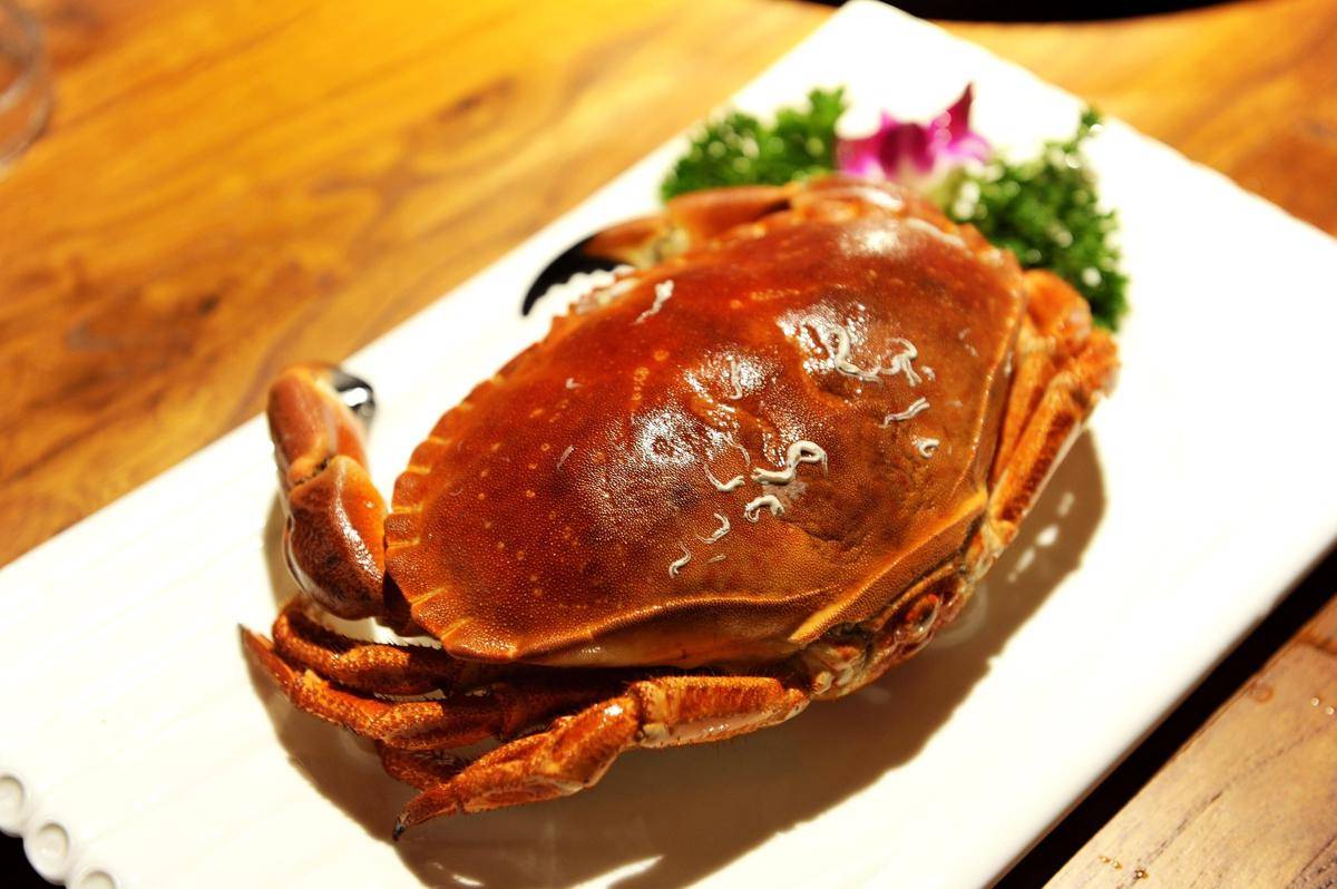 ilustrasi kepiting
