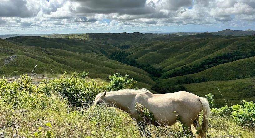 Bukit Wairinding (google.com/maps/ting wang)