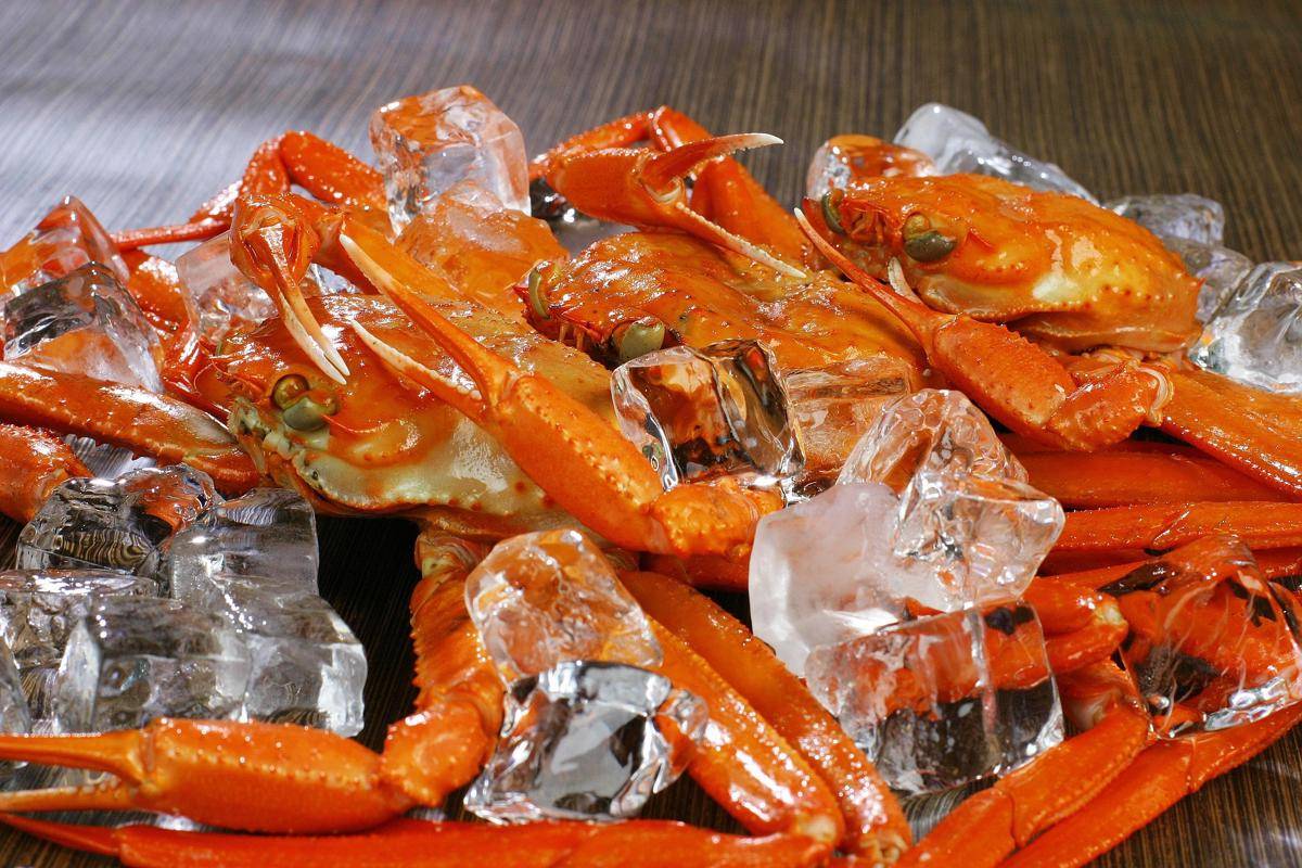 ilustrasi kepiting
