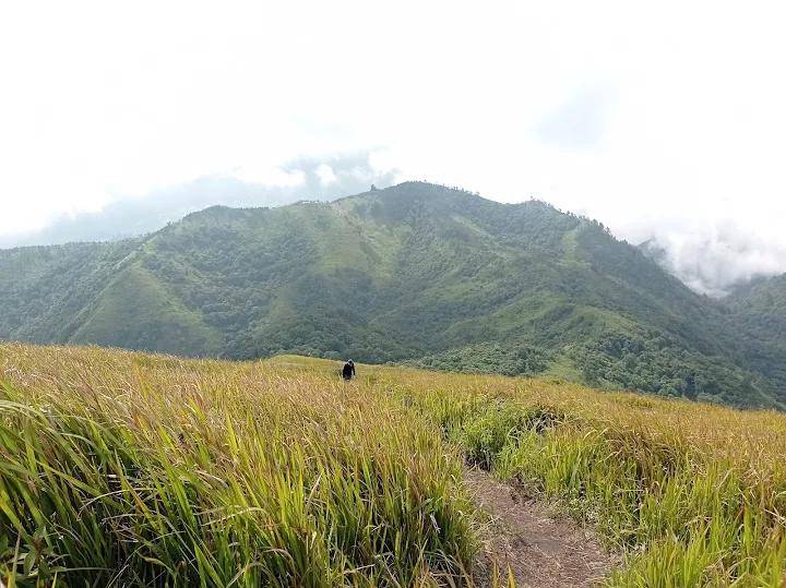 ilustrasi Bukit Mongkrang 